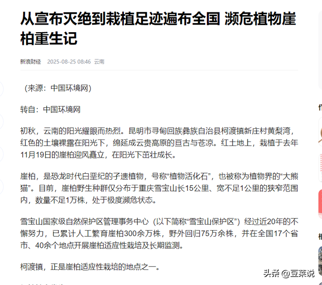 曾风靡全国的骗局，被捧上神坛炒到天价，如今“白菜价”都没人要