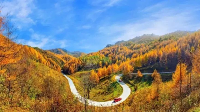 广元不远 周末优选 | 秋色短暂，曾家山赏秋路线来啦！