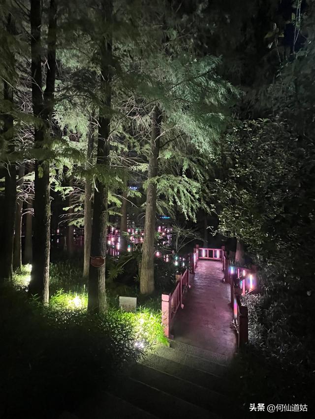 记水西路创业公园夜行