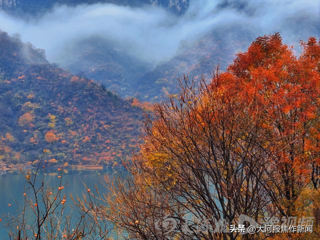 太出片！云台山子房湖迎来年度高光时刻 | 组图