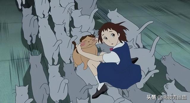 电影《猫的报恩》：在猫咪王国奇幻冒险，寻找真正的自我