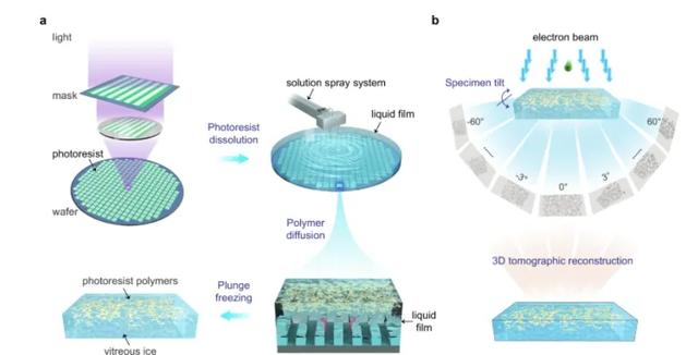 我国打开了光刻胶领域的“黑盒子”