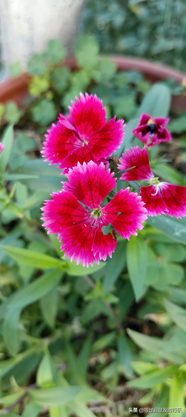 婺源游记-01慢品人间烟火