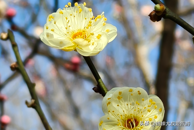 来洛阳体验千年时光吧，采取完美三日攻略，可触摸历史，吃逛不愁