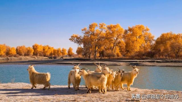克拉玛依5处小众赏秋地，别只说它「油」了！