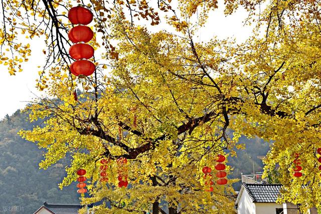 高铁直达！11月必去的6个宝藏小城，物价低又好玩，适合小住几天