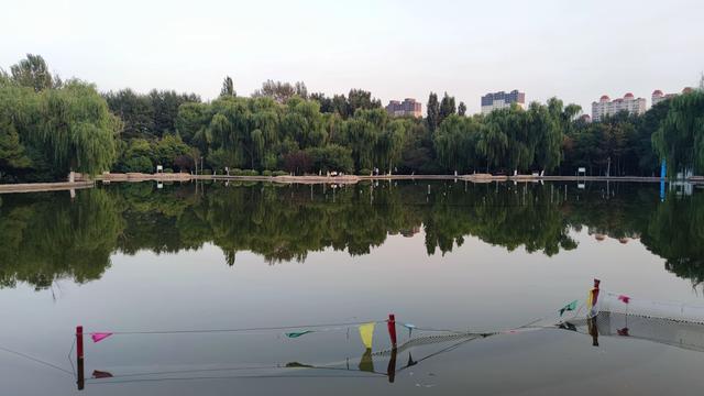 包头公园行（阿尔丁植物园、赛罕塔拉城中草原、奥林匹克公园）