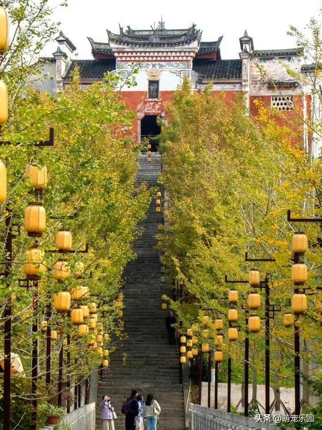 初冬恩施悄然变美，银杏枫树争相斗艳，我被这诗意时光深深震撼