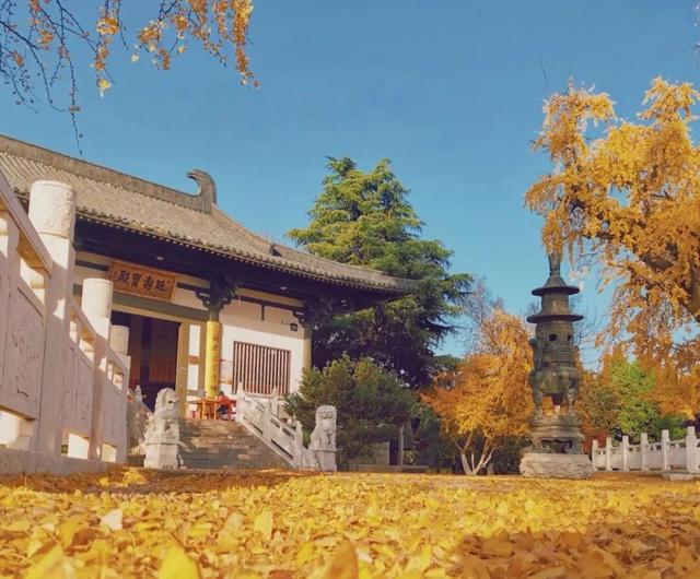 22℃！气温回升！这份温差版江北限定出游指南收好！