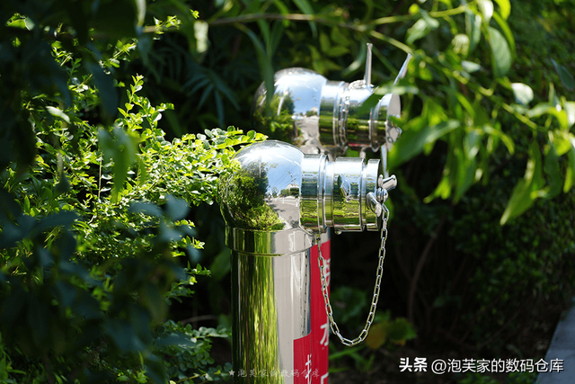 5999全画幅入门镜头？适马20-200mm 真一镜走天下 真刀锐奶化了！