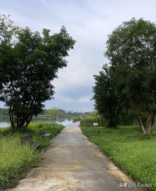 成都最近的原野公园，超级惊艳，一个湖风景就是王者，公交直达！