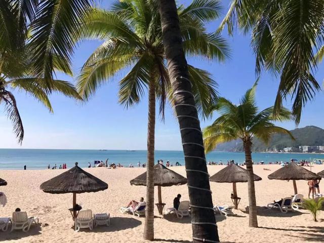 躲避寒冬！跟我一起南下做“候鸟”，体验粤港澳魅力，纵享海南岛热带风情