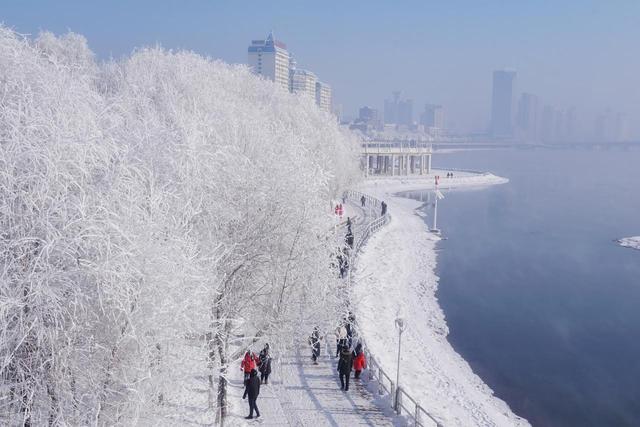 颜值不输北海道，中国也有自己的雾凇！今年冬天国内玩雪第一名！