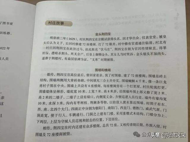 冠县乡韵·贾镇荆楼村