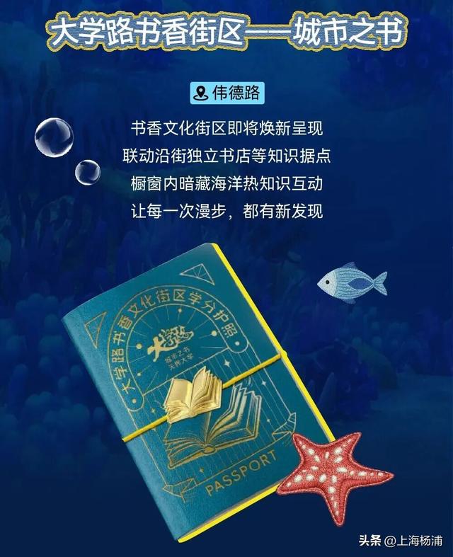 大学路又有新玩法！开放式“海底乐园”等你来打卡