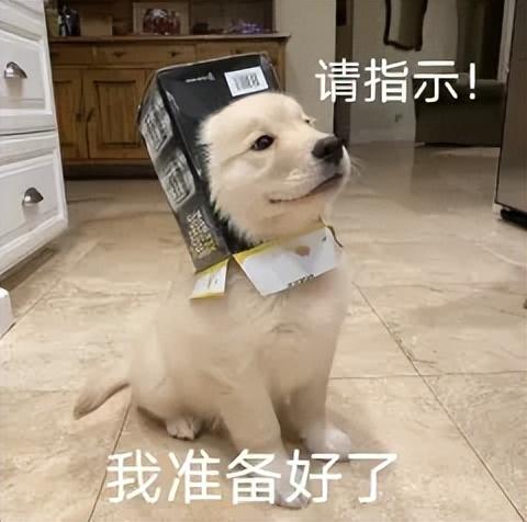 AI搜索一夜变天，专为Agent做搜索的赛道能否诞生百亿美金新巨头?