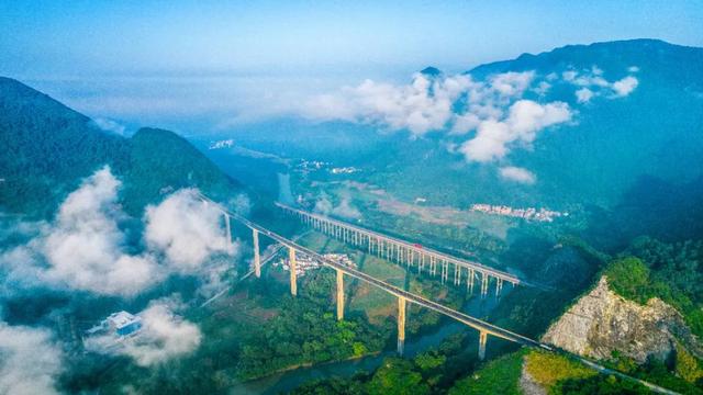 我在阳山过暑假｜夏日来阳山，在绿美生态中感受诗意清凉
