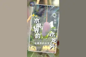 博鳌多多丨一口爆汁！海南水果真多多图片