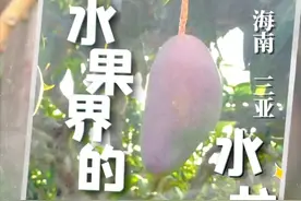 博鳌多多丨一口爆汁！海南水果真多多图片