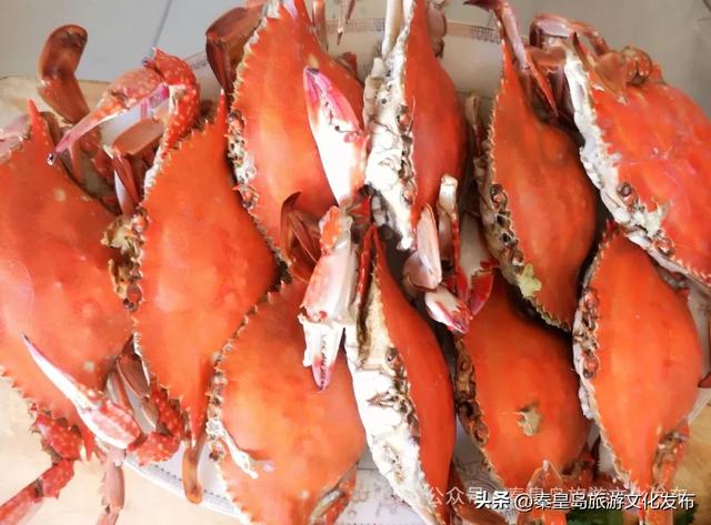 销魂！来秦皇岛，鲜香味美的秋日“第一鲜”千万别错过~🤤