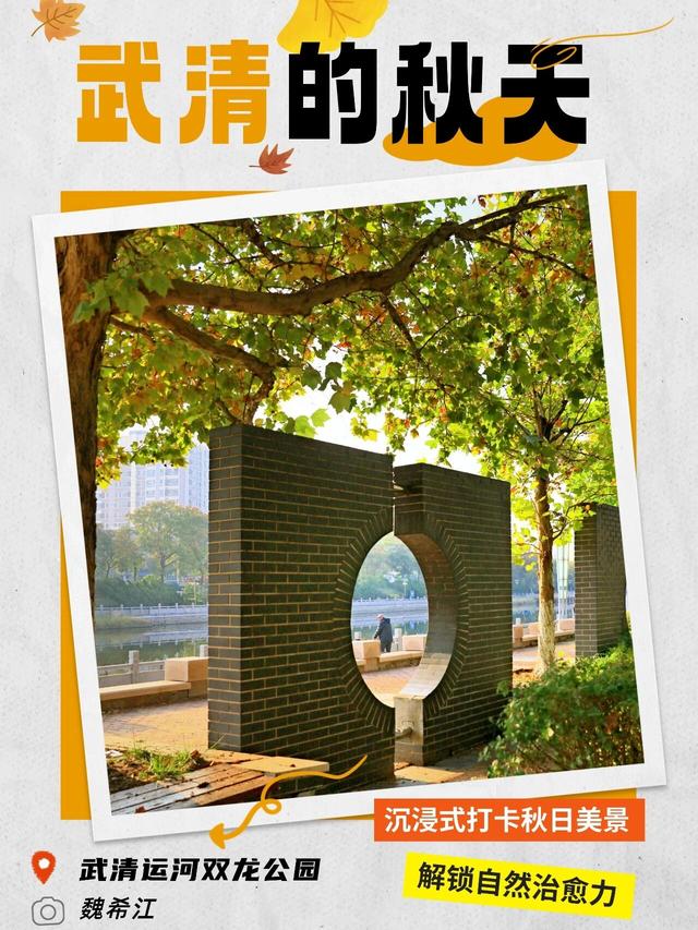 嗨，你的秋天留住了吗？