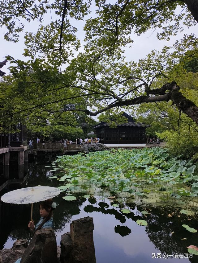临近国庆，在还很闷热的天气里，游览市内现存最大的园林拙政园