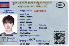 建议收藏！在柬埔寨换新驾照，看这篇攻略就够了图片