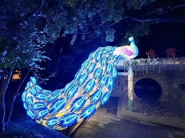 2025年“青岛之夏”艺术灯会点亮蓝色浪漫 让游人感受夏夜凉爽