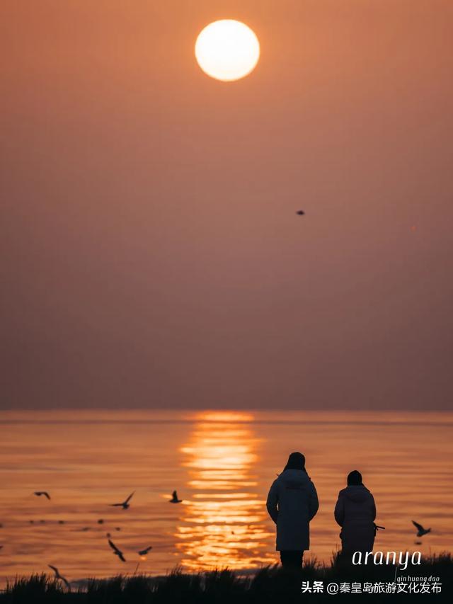 这个冬天，来秦皇岛追一次朝阳！