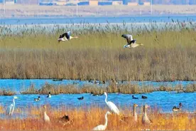 新疆乌鲁木齐这42个景点你去过几个，快点进来看一看，收藏（下）图片