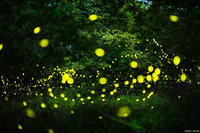 短剧搅动文旅新潮：爆改旅游打卡经济，景点因剧情出圈迎来回头热