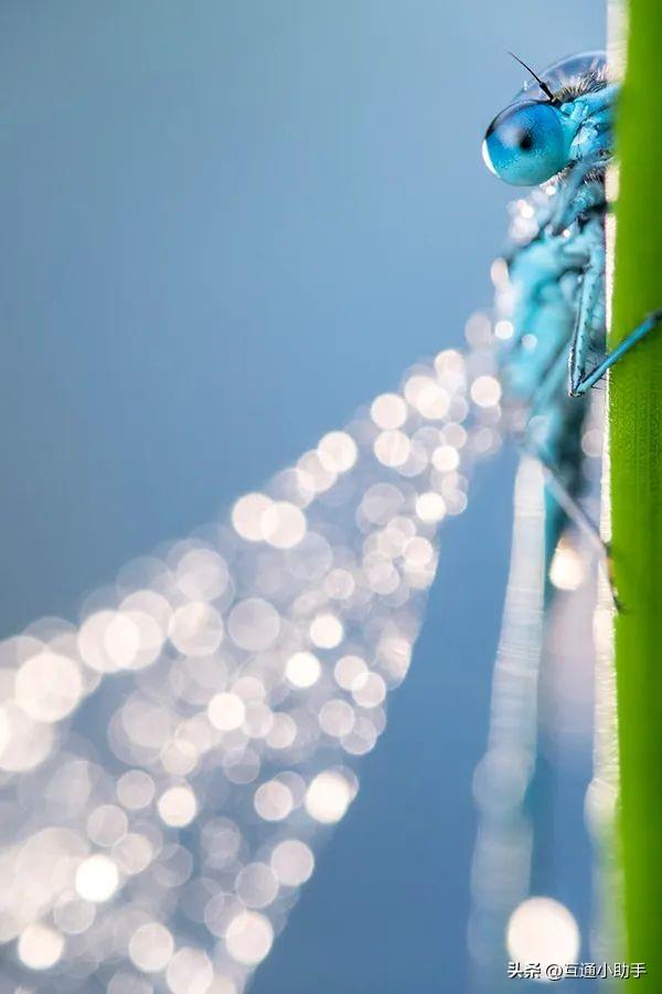 摄影中如何保留高光细节，实现完美曝光，建议看看这篇内容！