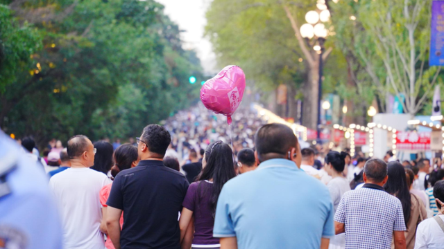 339.6万人点赞“向新”，文化与烟火点亮城市夜晚