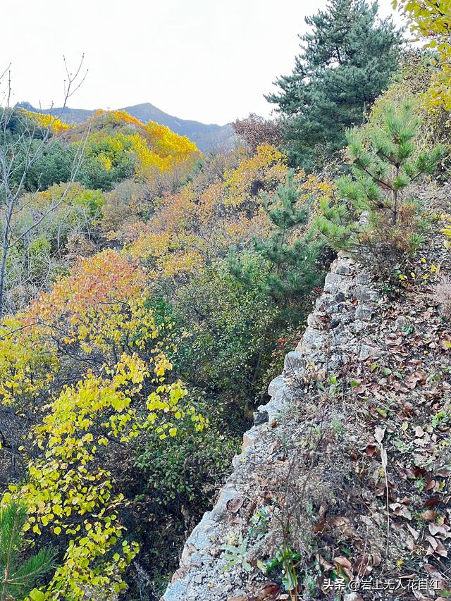 长城徒步之94：密云烧香峪、五虎门、黑谷关长城秋色