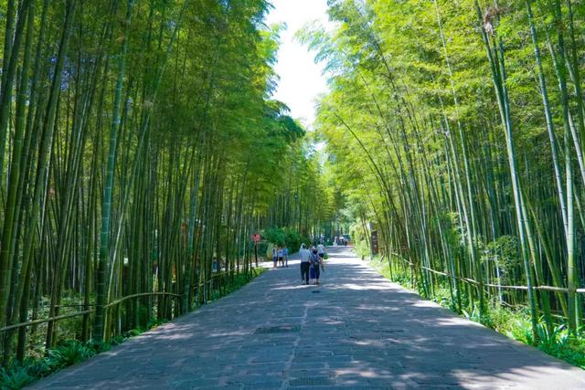 高铁直达 最快35分钟！重庆周边这6个城市好玩又凉快→