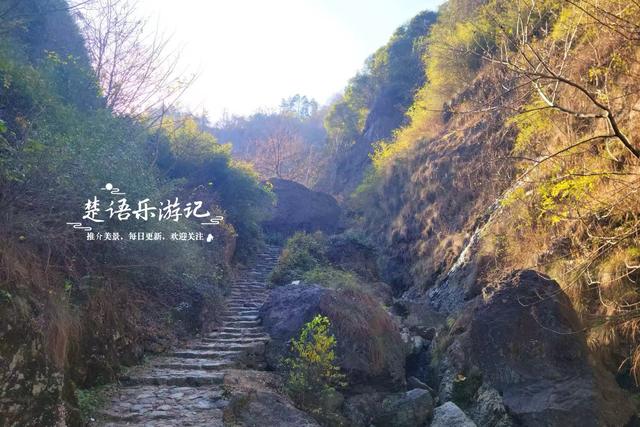 浙江绍兴雪窦岭的水上杉林，被誉为“江南小九寨”，现实却是这样