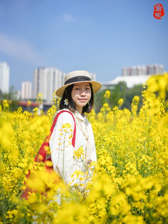 潼南的春天有多美？不出城区就能看到大片油菜花海，太让人羡慕了