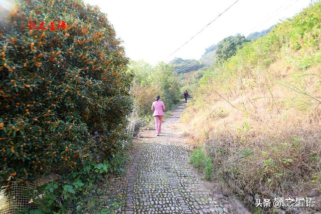 宁波有条朝觐古道，人文与风景荟萃，朝圣之路