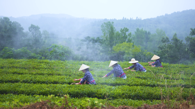 全球榜！中国榜！日照入选三大榜单！2026必来打卡！