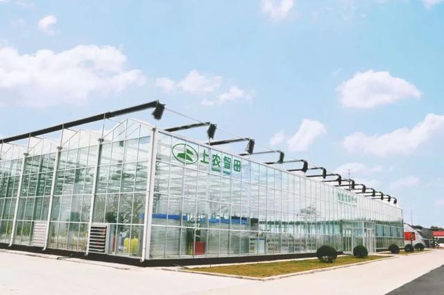 特别出片！潍城这里的“深秋限定”已到货，等你打卡