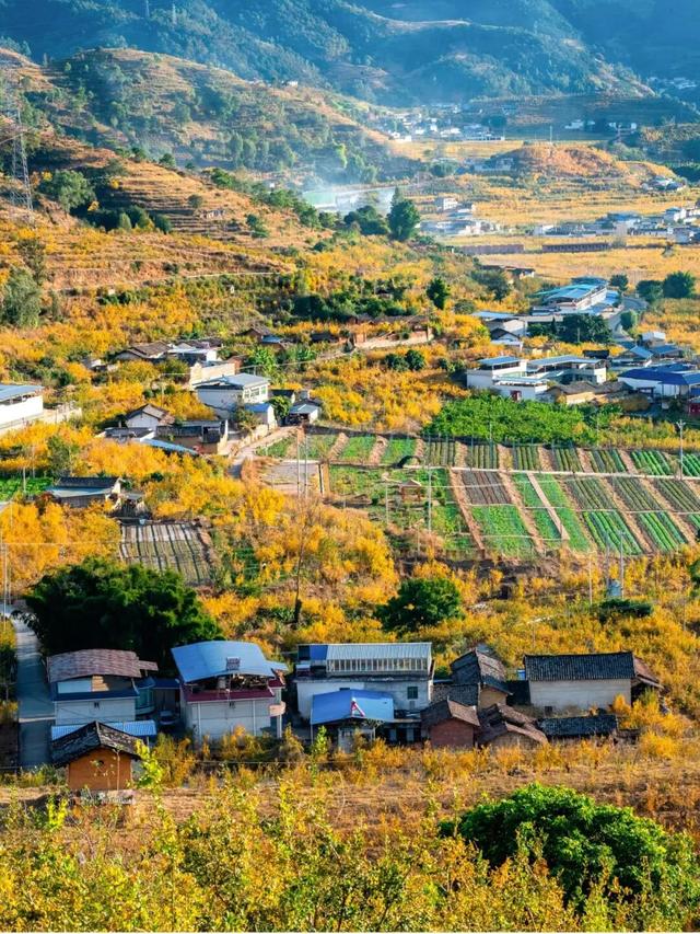 冬天到攀枝花晒太阳是定律来的！