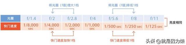 相机基本知识#3：曝光