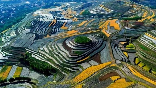 国家级榜单！潍坊这条路线上榜！