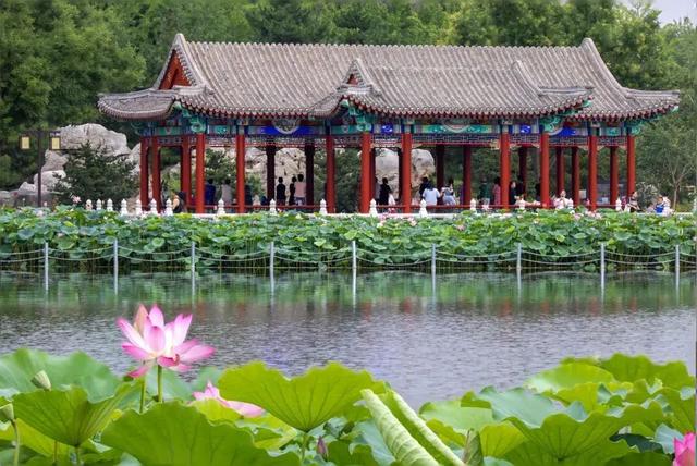北京市通州区西海子公园游船开航！童年小船回来啦~