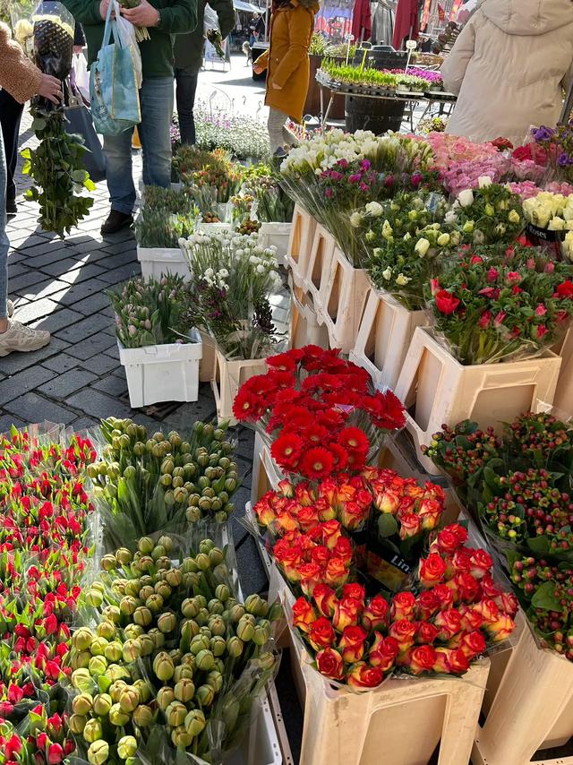 《再见，荷兰》