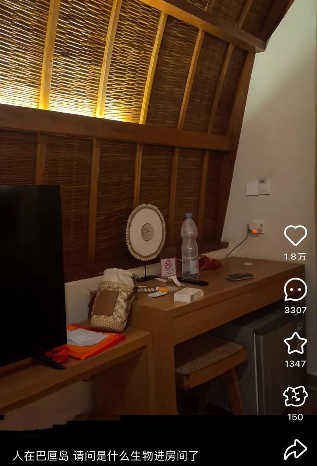 阻止我去巴厘岛旅游的唯一理由: