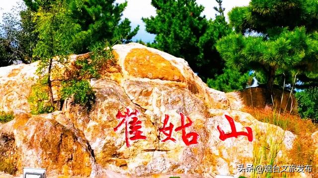 周末好去处丨人少免费!烟台小众公园美疯了