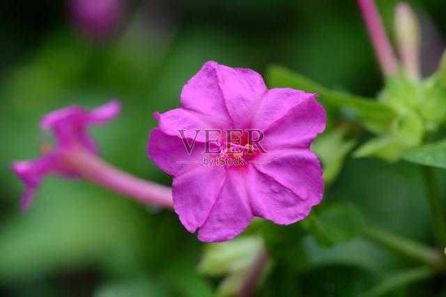 情感爆文：《懂得珍惜，才配拥有，只有在乎，才能永久》