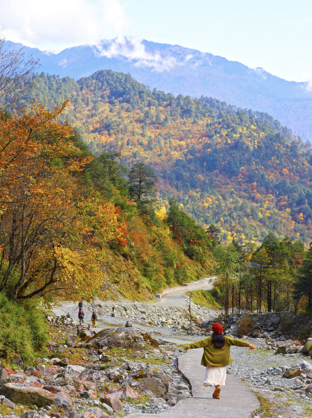 喇叭河红叶巅峰期打卡攻略，彩林秘境+野生萌兽，秋假带娃研学首选！