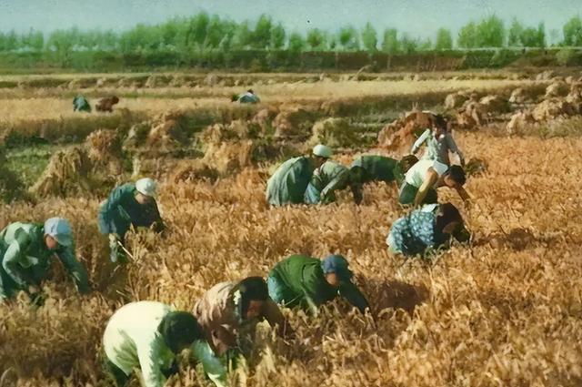 我国现存唯一的人民公社，记工分、分口粮，人均收入5000多